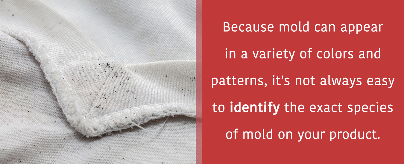 Mold Prevention and treatment - Contaminated fabric